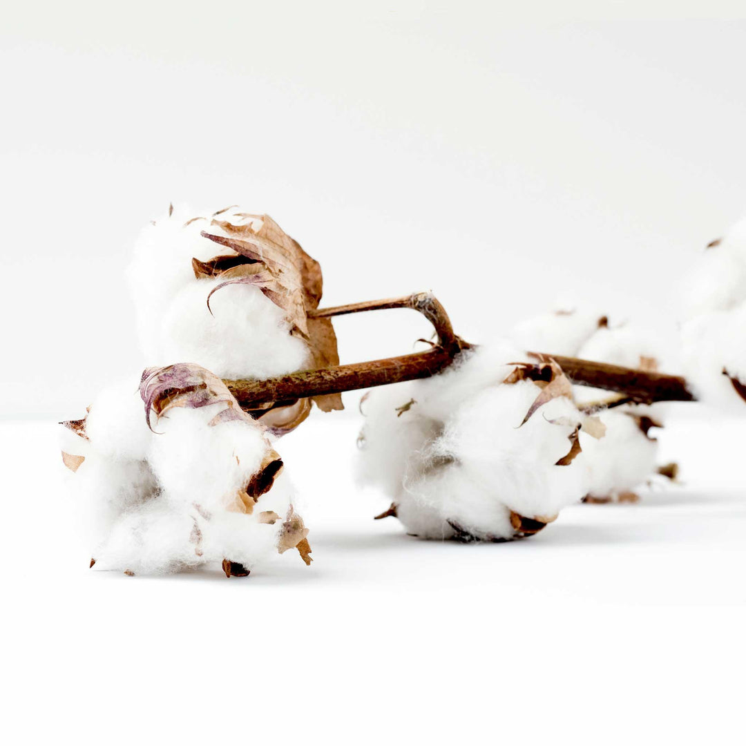 Why Buy Organic Baby Clothes? These 7 Reasons, That’s Why!