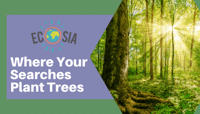 Ecosia; Where Your Searches Help Plant Trees