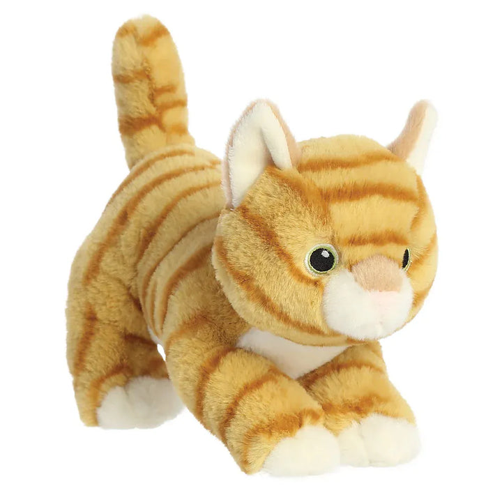 Eco Nation Orange Tabby Cat