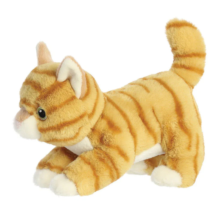Eco Nation Orange Tabby Cat