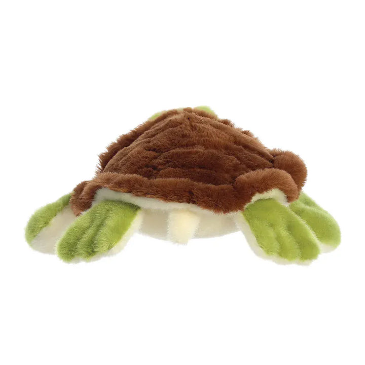 Eco Nation Turtle
