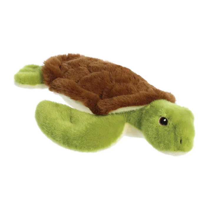 Eco Nation Turtle