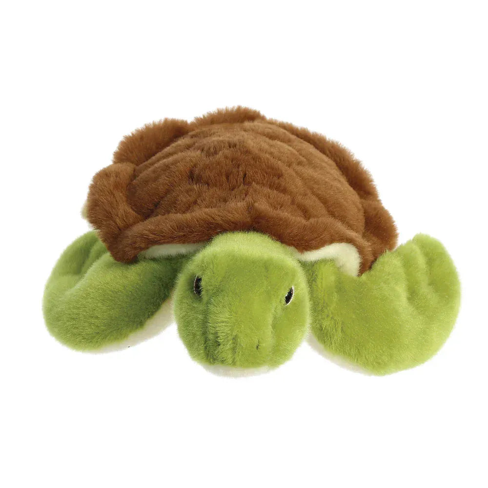 Eco Nation Turtle
