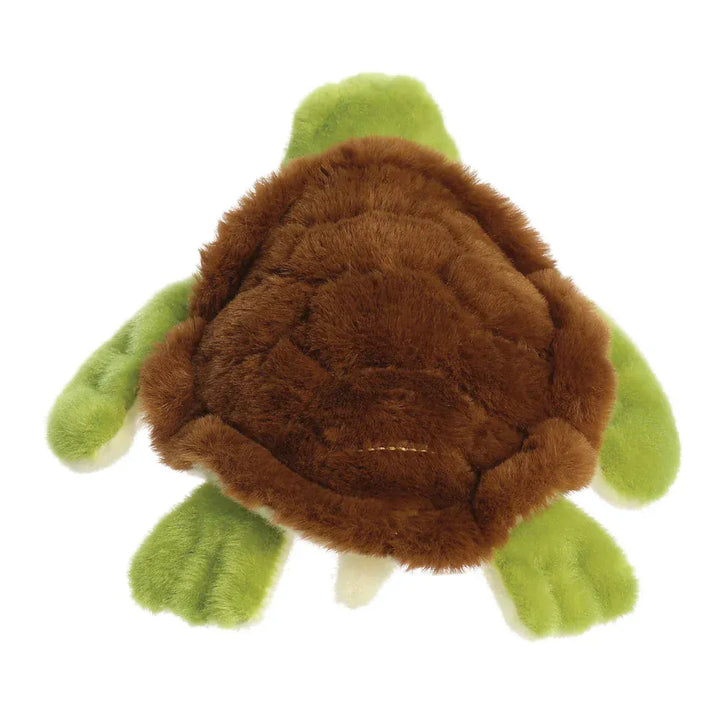 Eco Nation Turtle