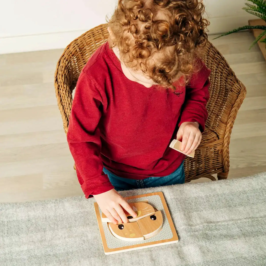 Child in a red sweater playing with a Bigjigs Toys wooden seal puzzle on a rug.