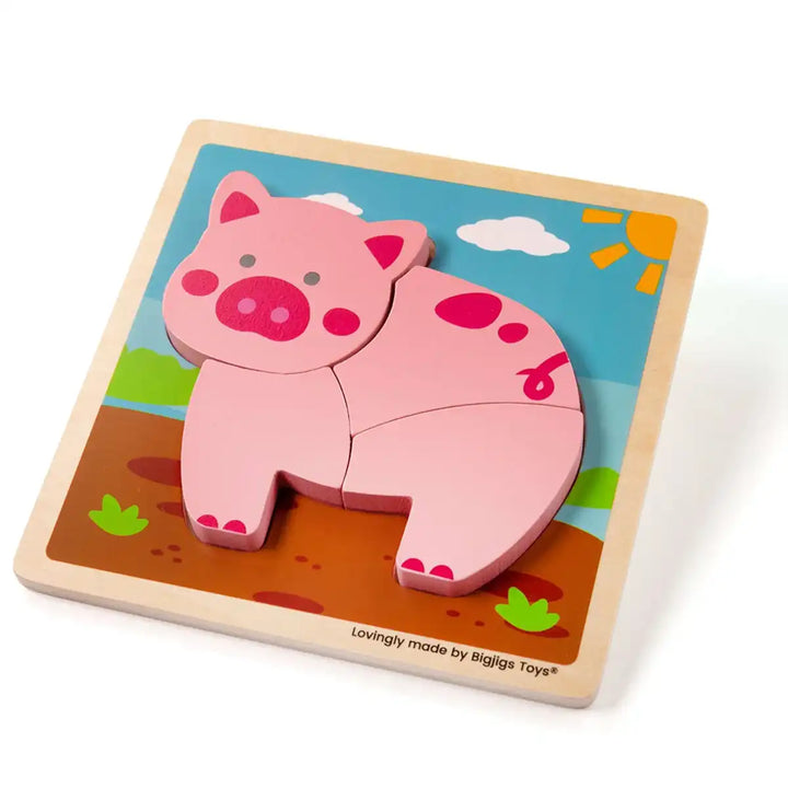 Bigjigs Toys wooden pig puzzle with colourful background on a white surface