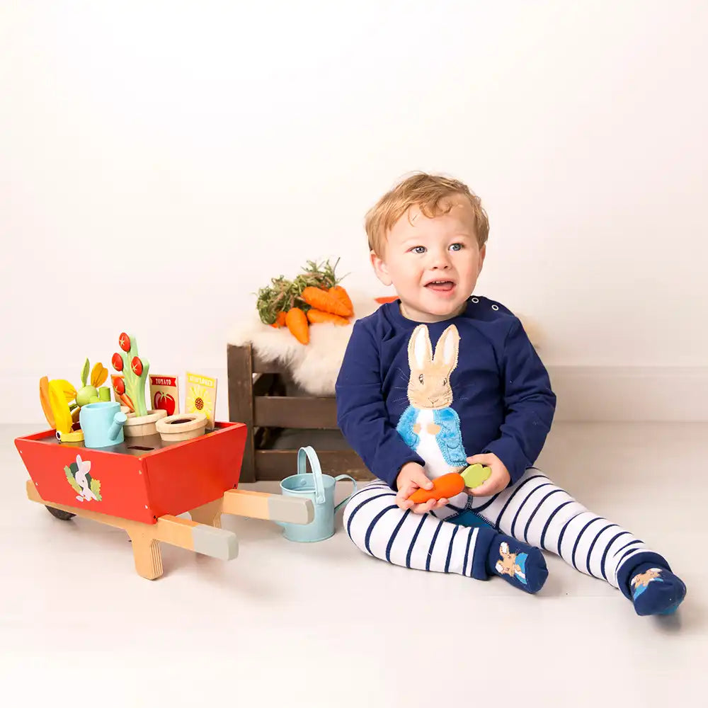 Peter Rabbit Navy Socks