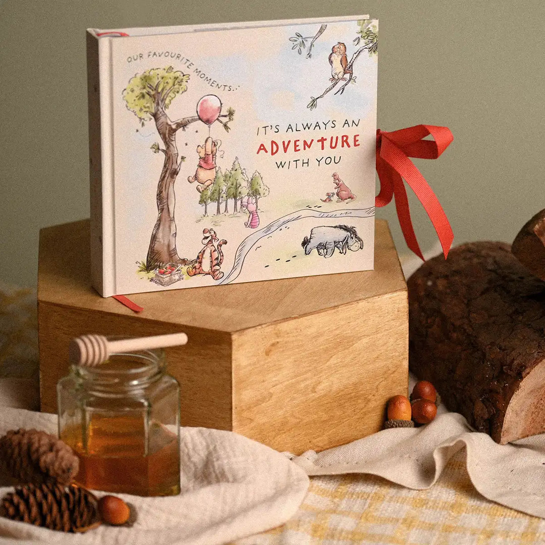 Disney Winnie the Pooh Adventure Photo Album In a Home Picture