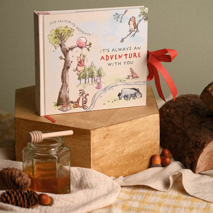 Disney Winnie the Pooh Adventure Photo Album In a Home Picture