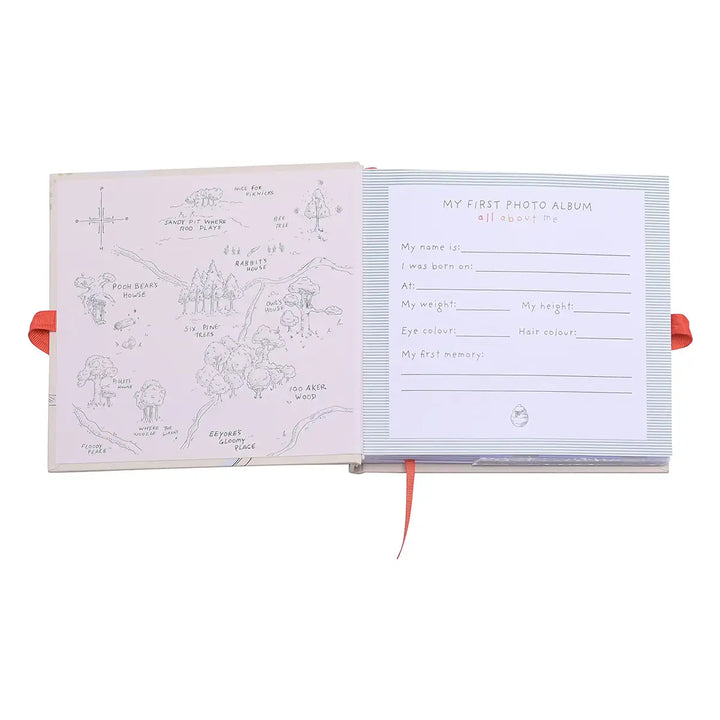 Disney Winnie the Pooh Adventure Photo Album Inside Front Page Picture