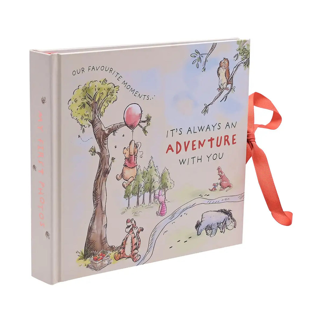 Disney Winnie the Pooh Adventure Photo Album Side Picture