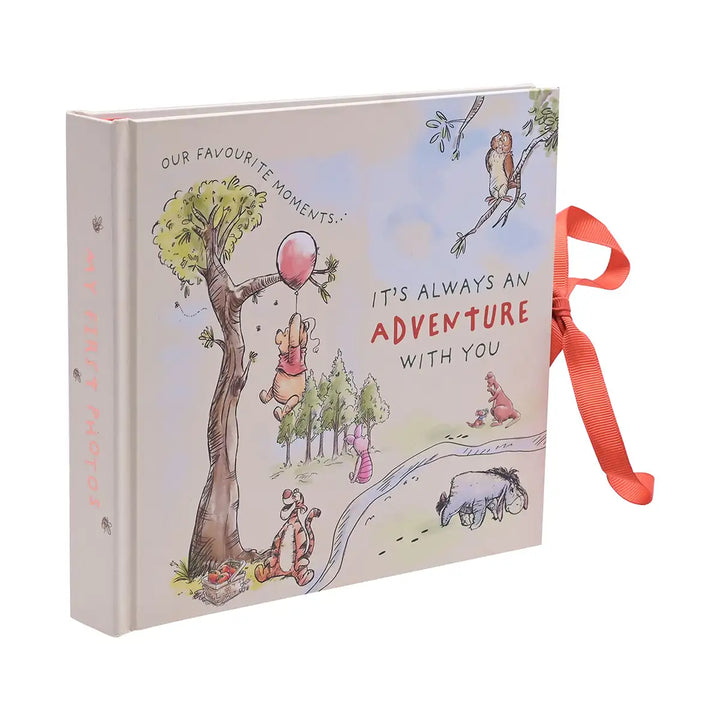 Disney Winnie the Pooh Adventure Photo Album Side Picture