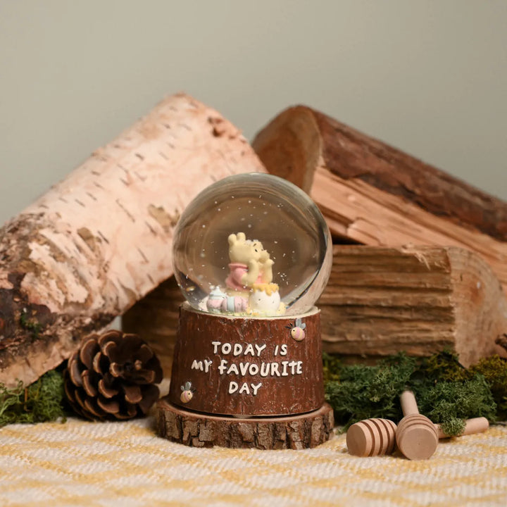 Disney Winnie the Pooh Favourite Day Waterball