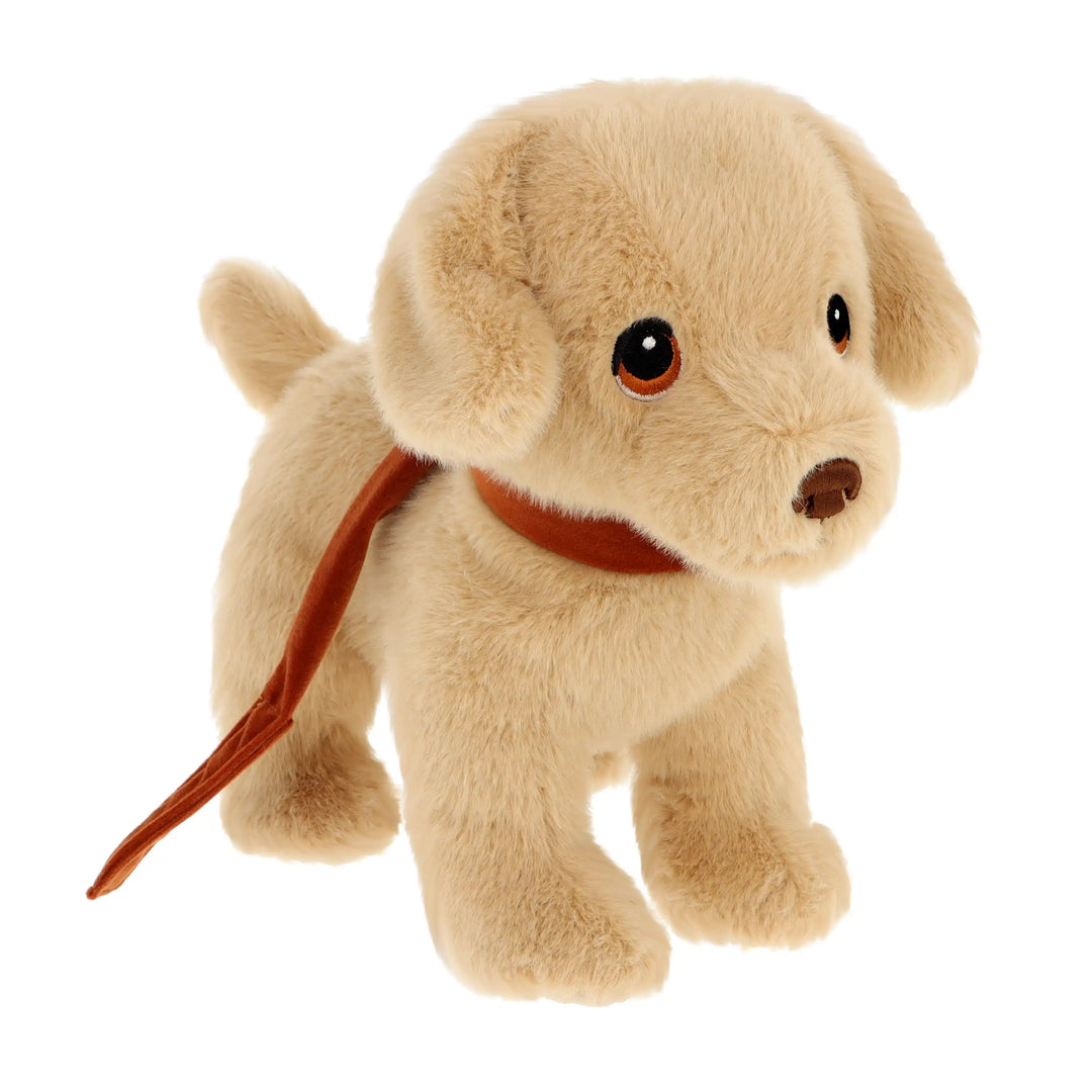 Recycled Puppy Love On Lead Labrador