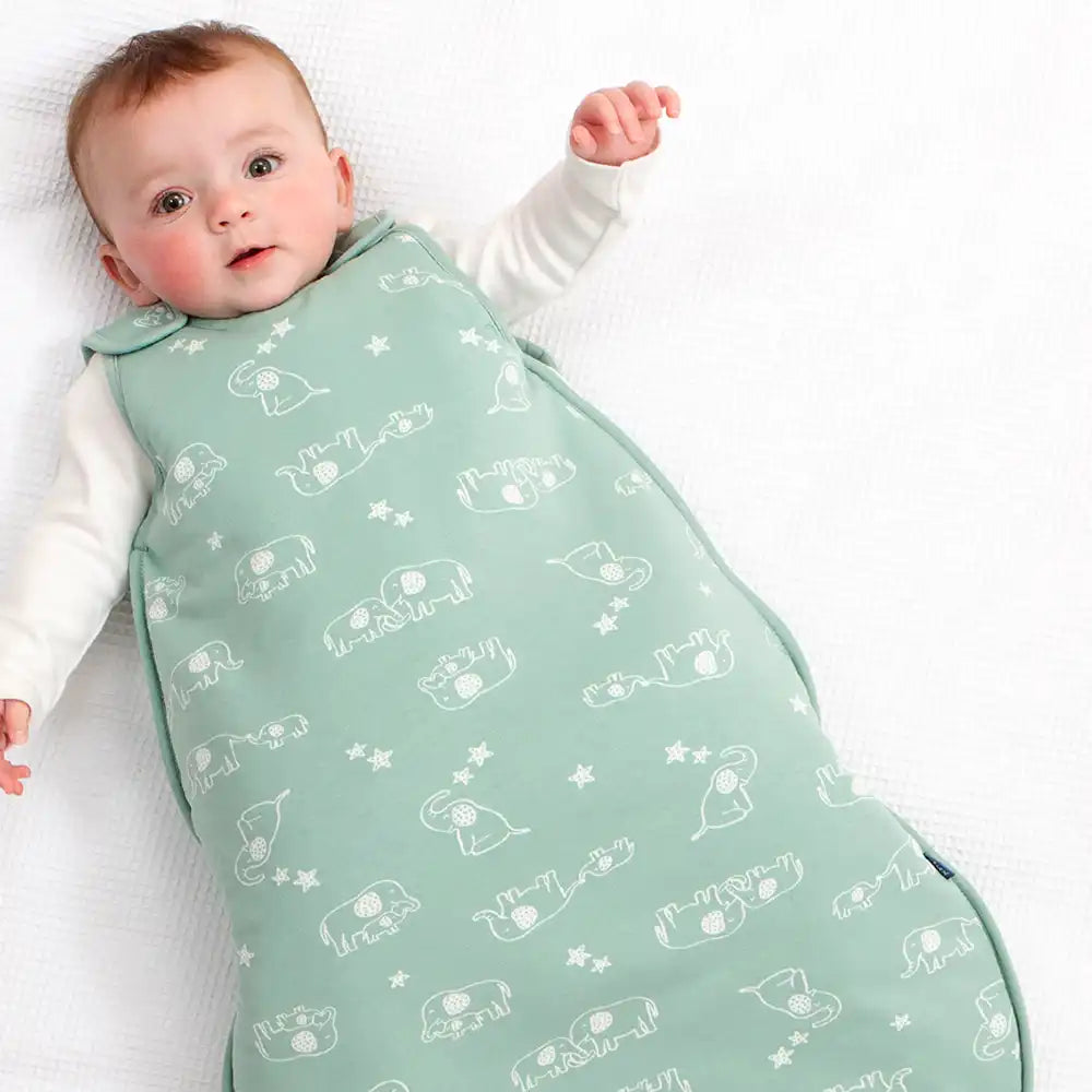 Kite Clothing GOTS Organic Cotton Ele and Me Sleeping Bag with Baby Picture