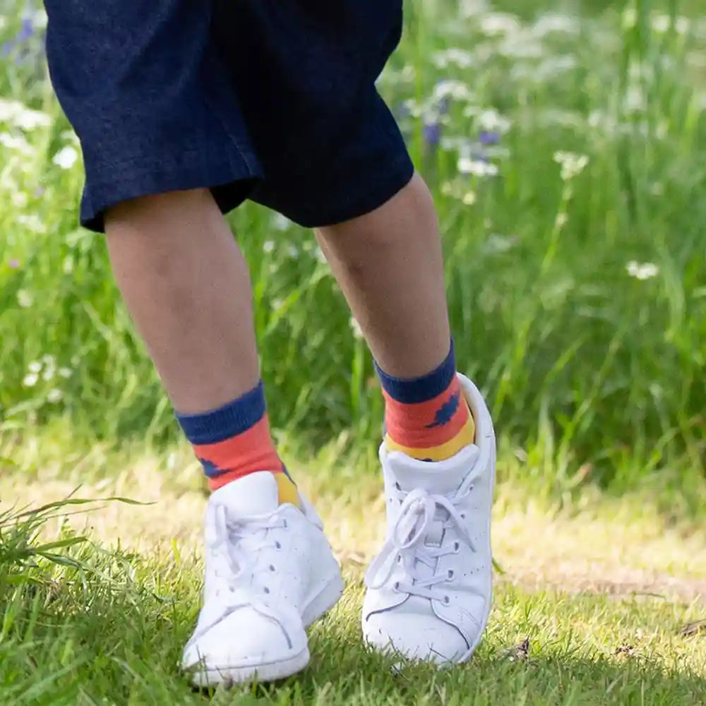 Kite Clothing GOTS Organic Cotton Dino Socks Worn Dino Picture