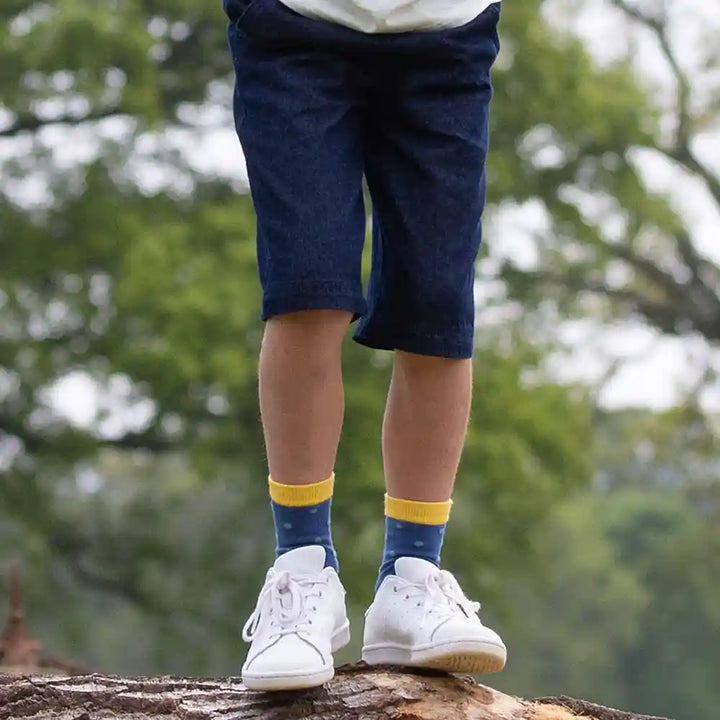Kite Clothing GOTS Organic Cotton Dino Socks Worn Dot Picture