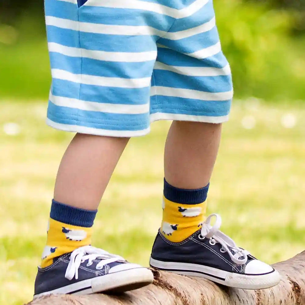 Kite Clothing GOTS Organic Cotton Sheep Socks Worn Sheep Picture