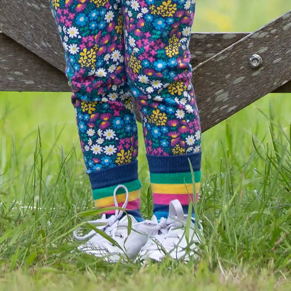 Kite Clothing GOTS Organic Cotton Sunny Socks Worn Stripe Picture