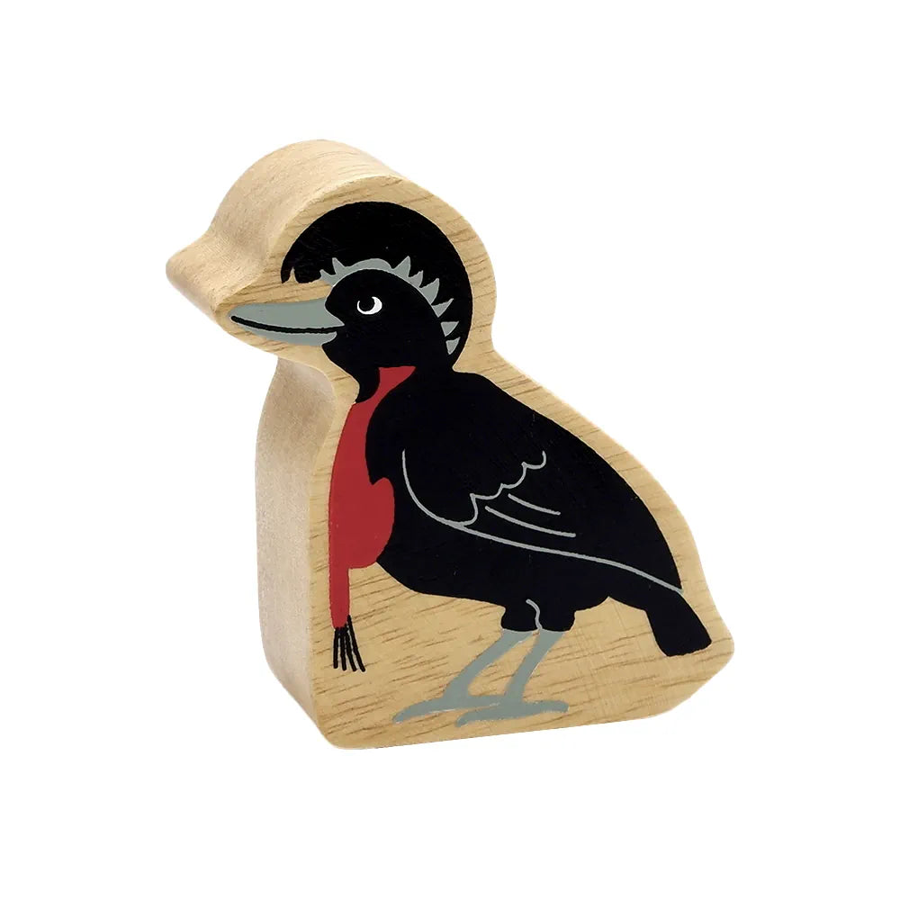 Natural Black Umbrella Bird