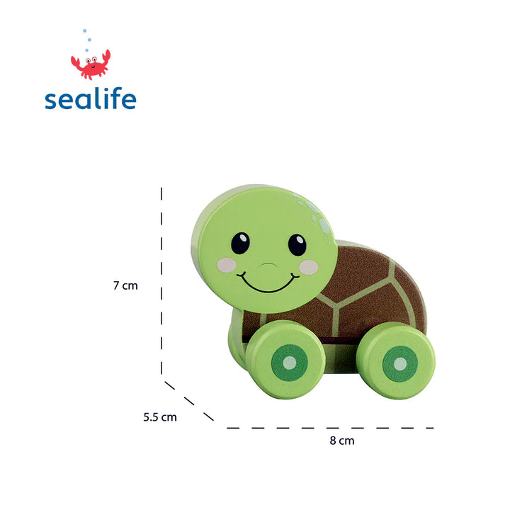 Turtle First Push Toy