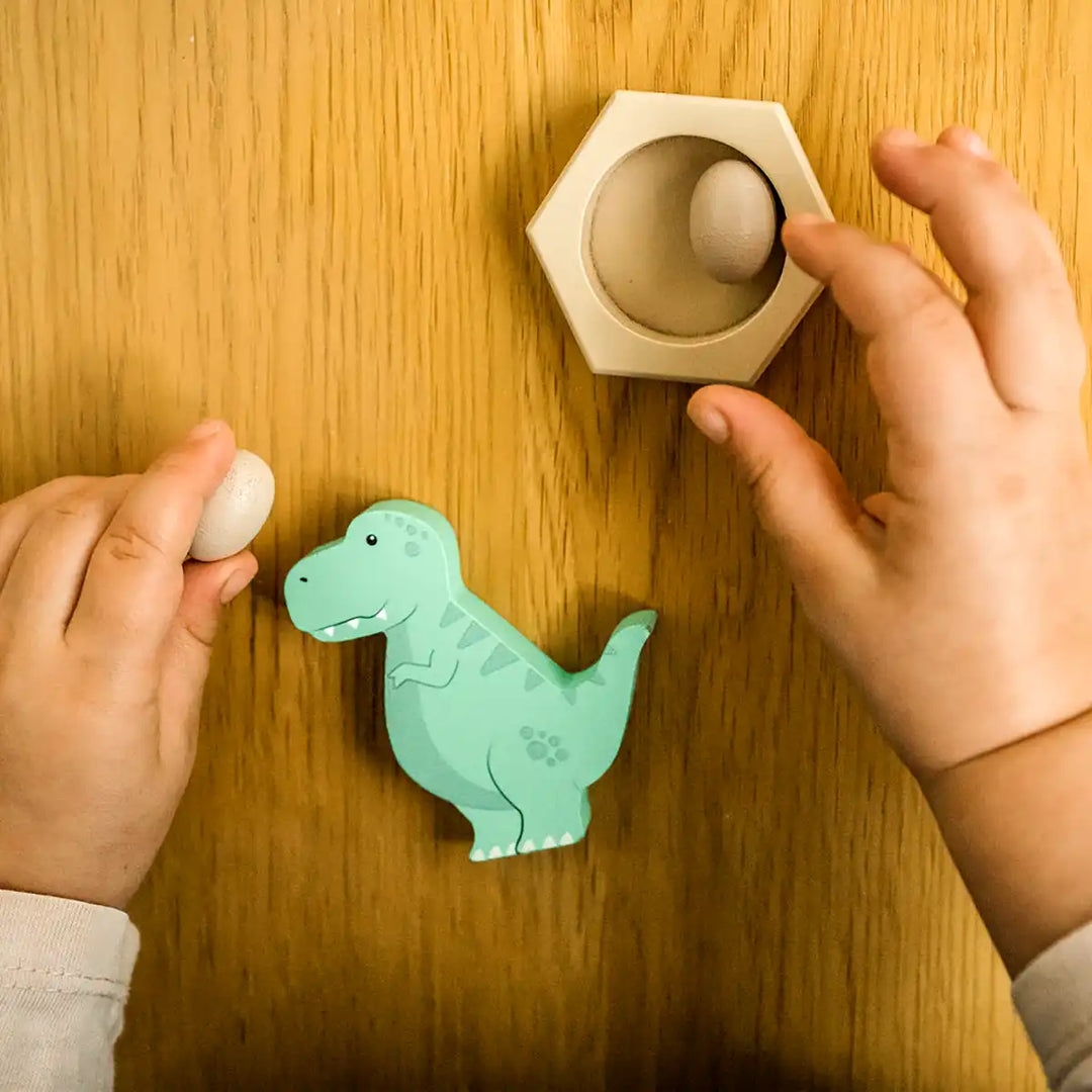 Dinosaur Play Set