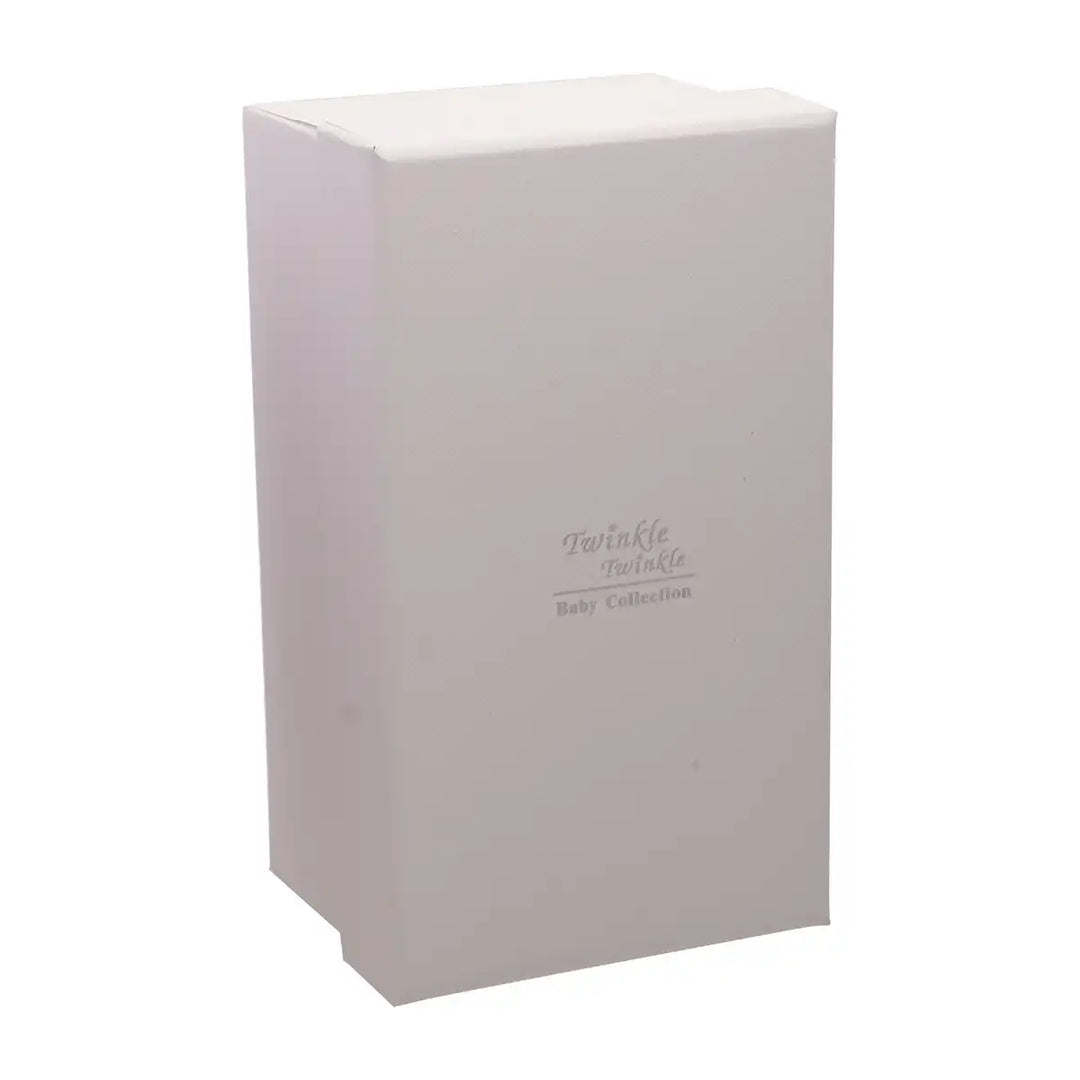 Twinkle Twinkle Silverplated Teddy Money Box