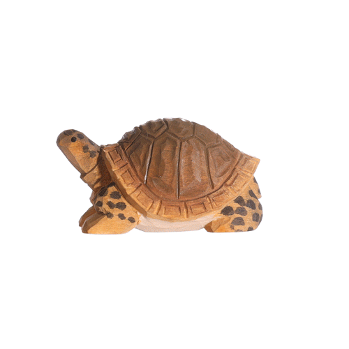 Wudimals Wooden Tortoise
