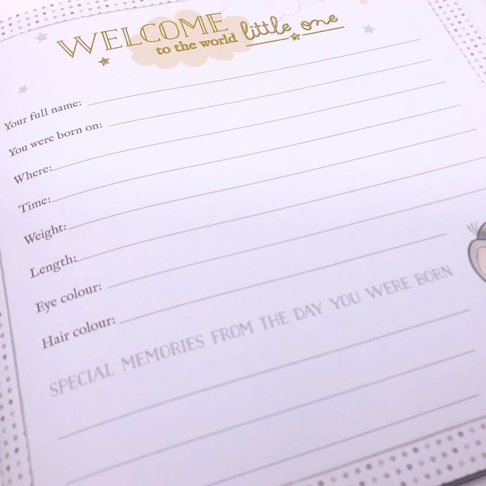 Disney My First Year Record Book