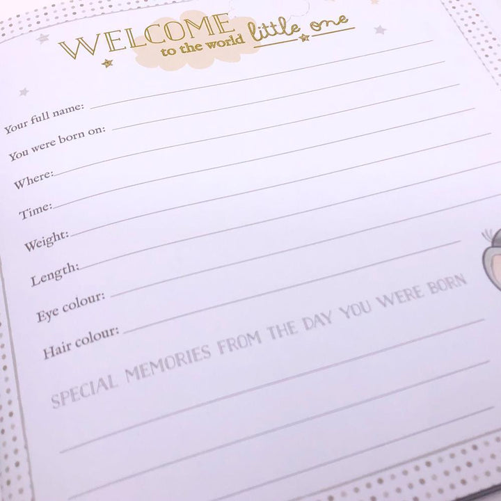 Disney My First Year Record Book