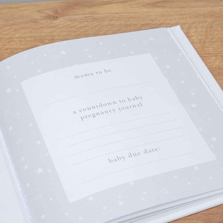 Bambino Linen Nine Month Pregnancy Journal Inside Page Picture