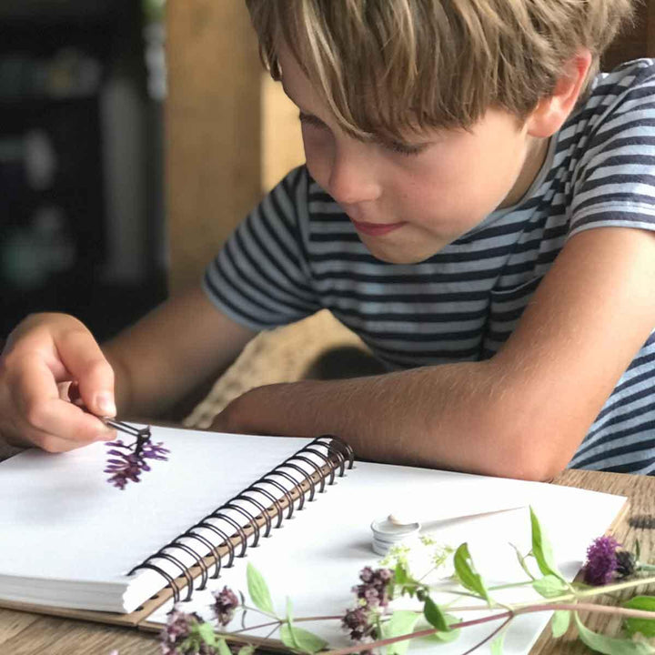 The Den Kit Company New Herbarium Activity Kit Being Used